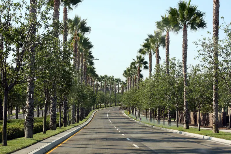 Anaheim, CA Downtown-Palm-Lined-Corridors